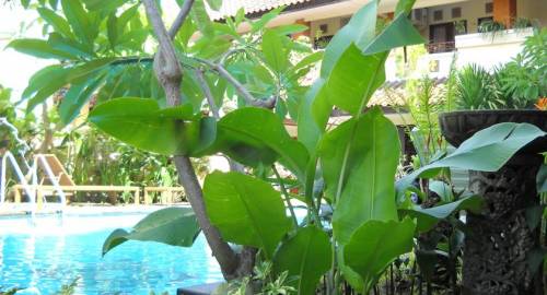 Bali Sorgawi Hotel