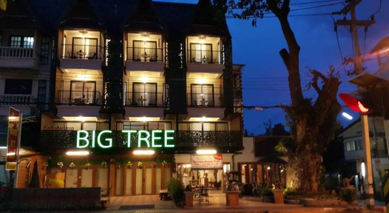 Big Tree Boutique Hotel