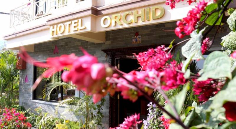 Hotel Orchid