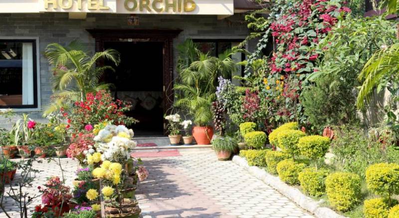 Hotel Orchid