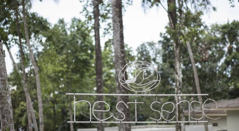 Nest Sense Resort