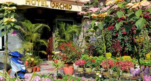 Hotel Orchid