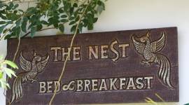 The Nest Chiangmai