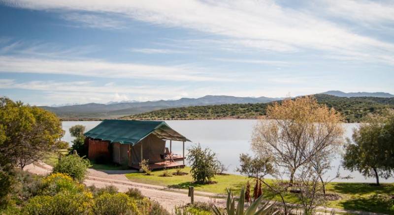 Buffelsdrift Game Lodge