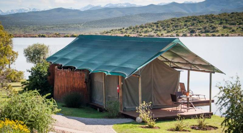 Buffelsdrift Game Lodge
