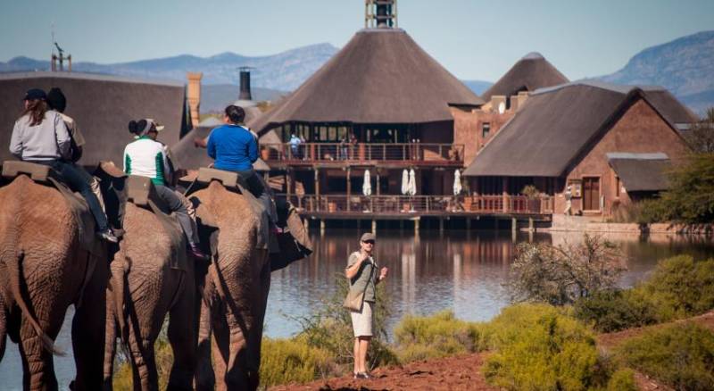 Buffelsdrift Game Lodge