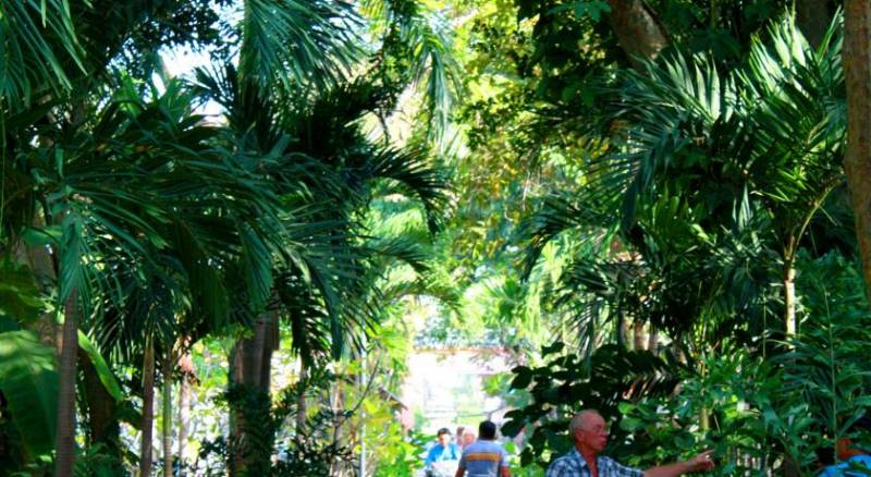 Pattaya Garden