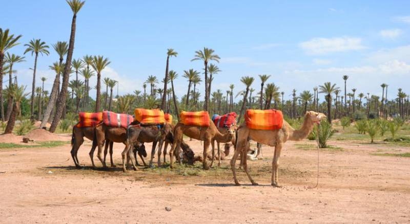 Residence Dar Lamia Marrakech