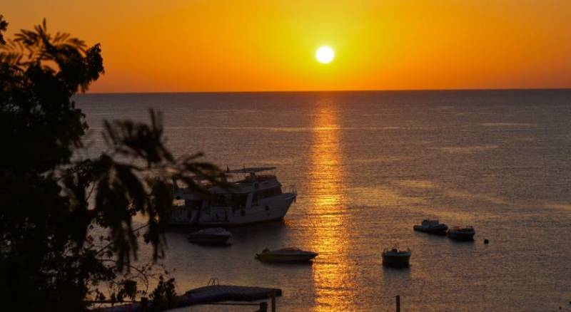 Sharks Bay Umbi Diving Village