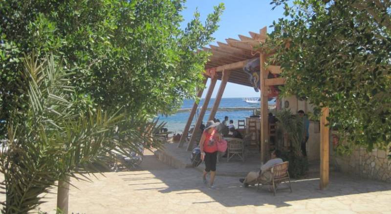 Sharks Bay Umbi Diving Village