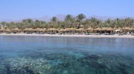 Hilton Sharm El Sheikh Fayrouz Resort