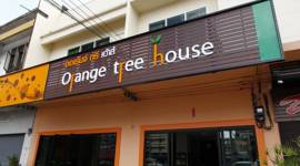 Orange Tree House