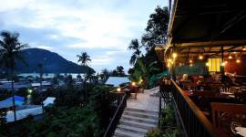 Phi Phi Arboreal Resort