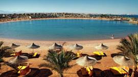 The Desert Rose Resort