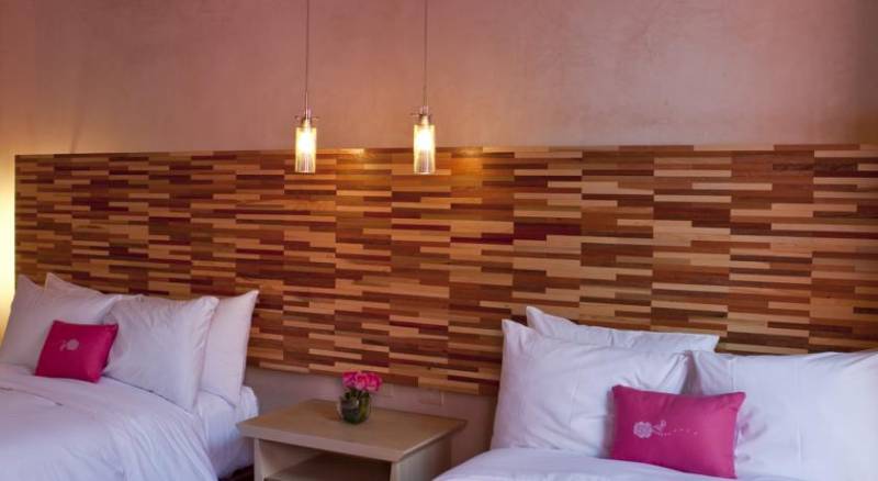 Rosas & Xocolate Boutique Hotel+Spa