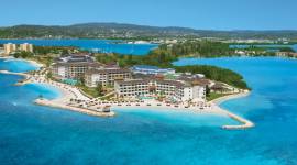 Secrets Wild Orchid