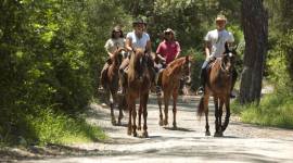 Viverde Hotel Berke Ranch