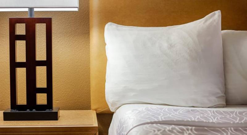 Best Western Plus DFW Airport Suites