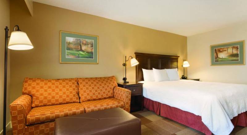 Hampton Inn Dallas-Irving-Las Colinas