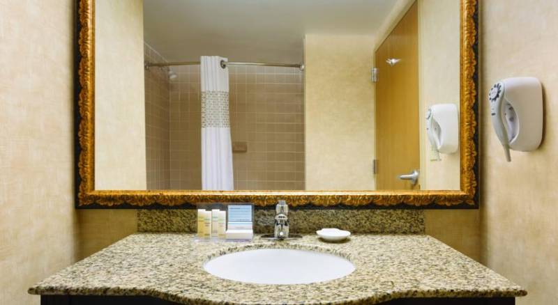 Hampton Inn Dallas-Irving-Las Colinas