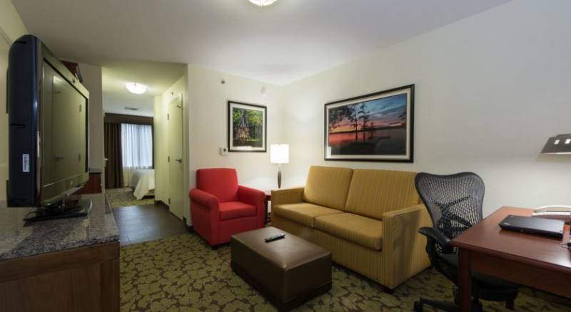 Hilton Garden Inn Lafayette/Cajundome