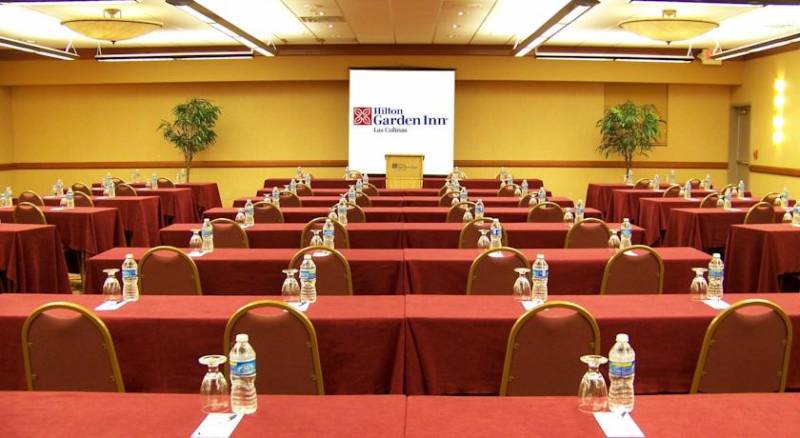 Hilton Garden Inn Las Colinas