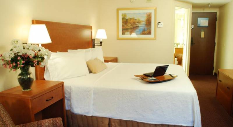 Hampton Inn Tampa International Airport/Westshore