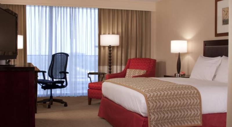 Hilton Tampa Airport Westshore