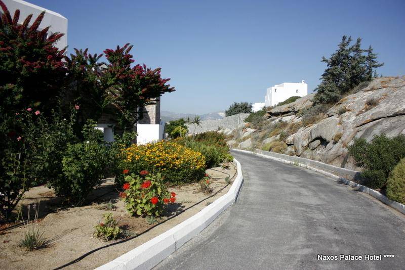 Naxos Palace Hotel