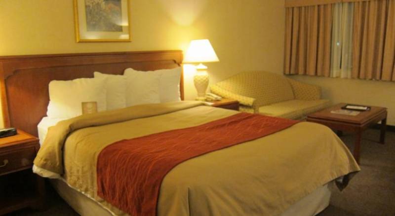 Comfort Inn Meadowvale