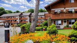 Best Western Austrian Chalet