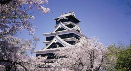 Kumamoto Tokyu REI Hotel