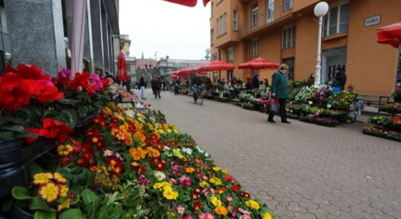 Main Square Apartment