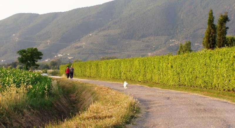 Agriturismo La Pisana